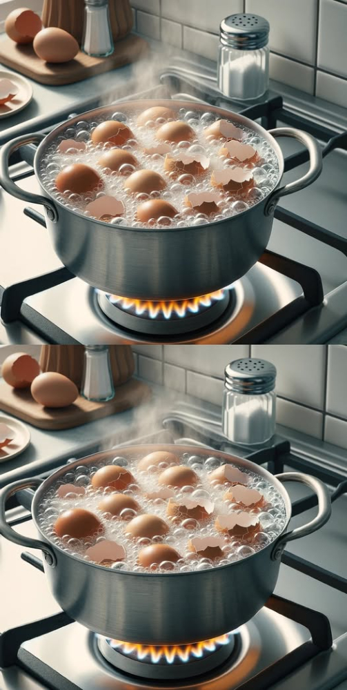 480940285 122124990878646154 2596934770572157088 N