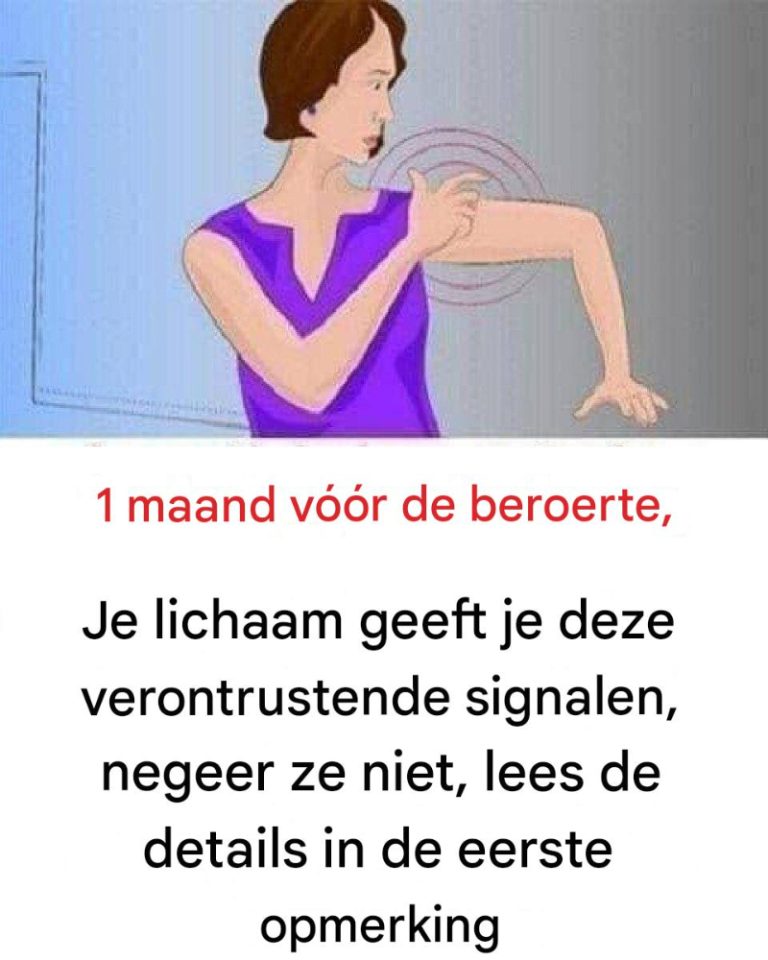 480942188 122124989348646154 7141534161891384244 N