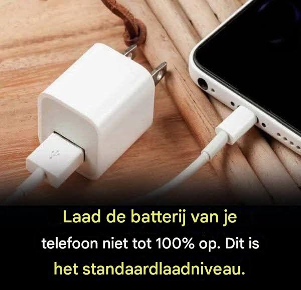 489987949 122129373938646154 2319388223183692730 N