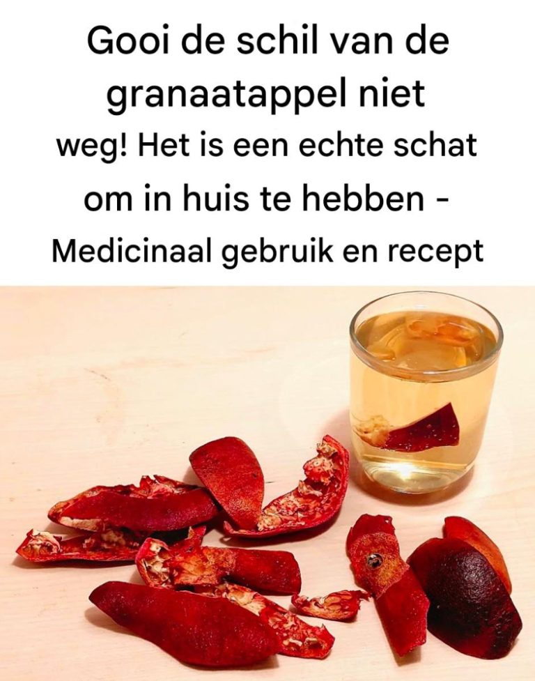 491242871 122130493922646154 6505181610784655085 N