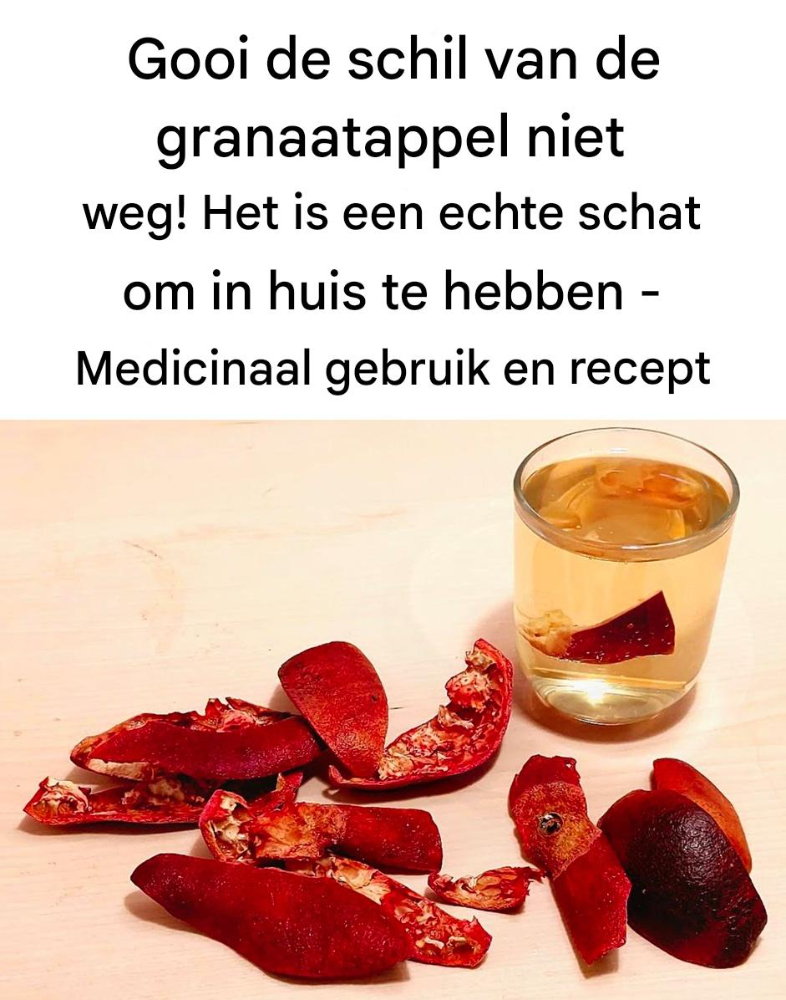 491242871 122130493922646154 6505181610784655085 N