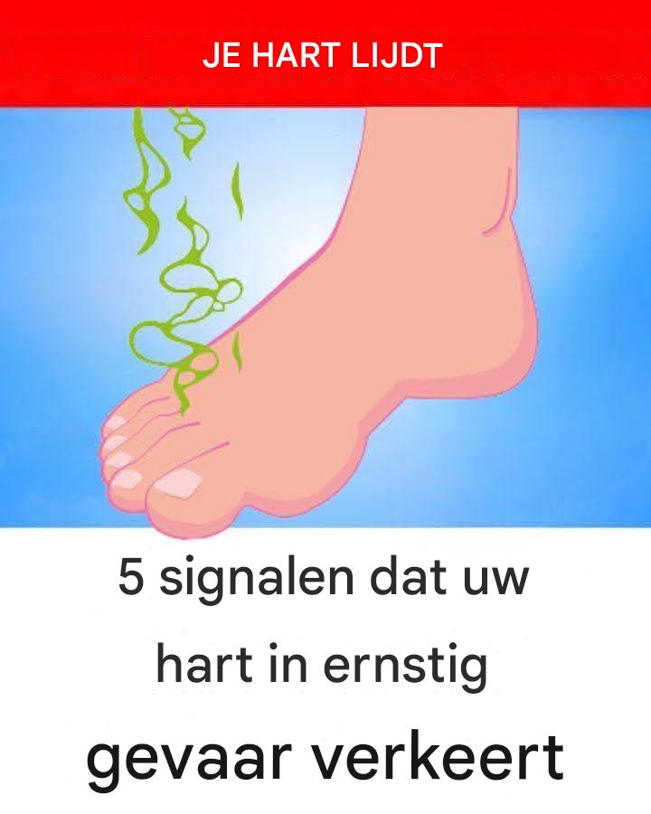 492370313 122131006298646154 5124272016292766254 N