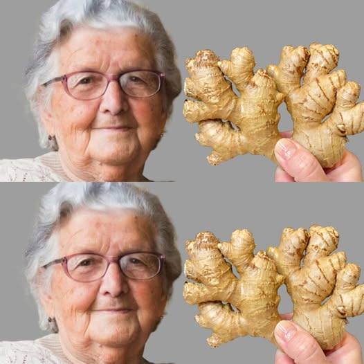 492554419 122131939328646154 306769159098896063 N