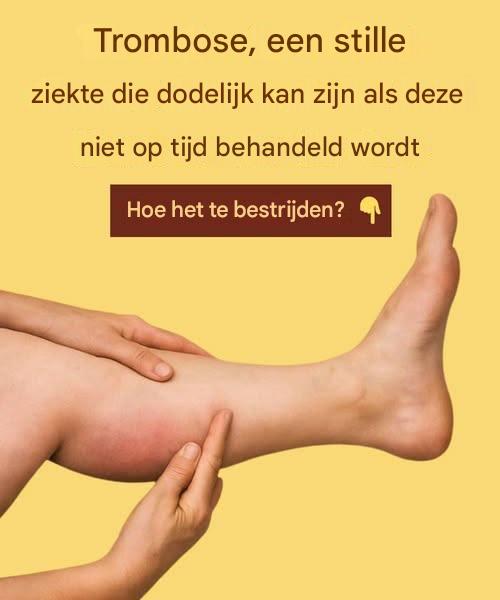 493015213 122132272124646154 3901609395656461024 N