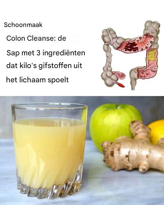 493544291 122132818292646154 61312275117402974 N