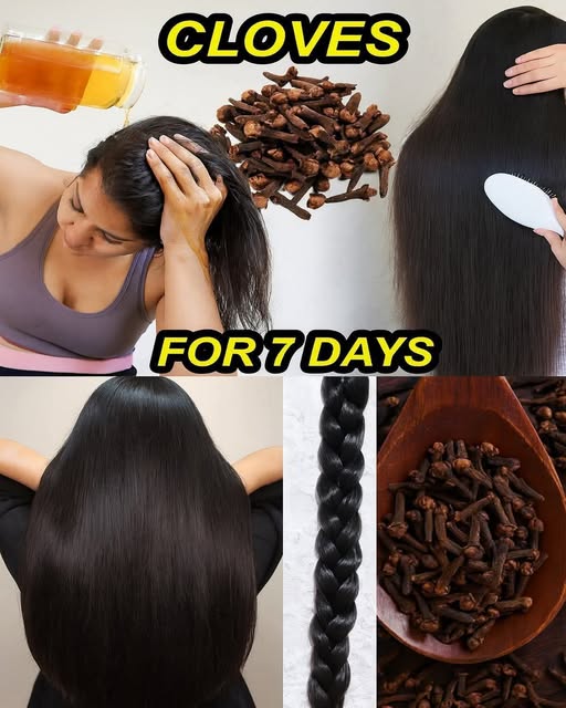 553562541 834502002235285 7174750309199692024 N