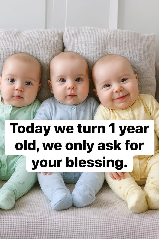 558118229 1343727337543624 772361837167172803 N