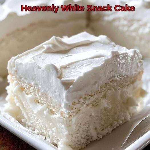 558520334 769808589405058 7706077373416708076 N